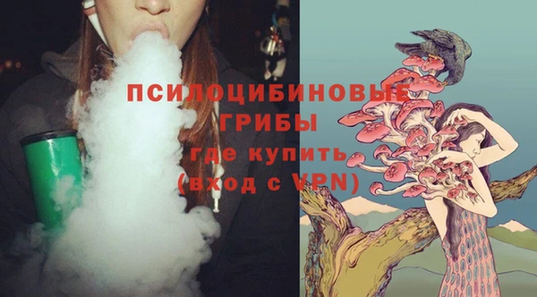 mdpv Алзамай