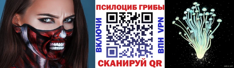 закладки  Пошехонье  Галлюциногенные грибы Psilocybine cubensis 
